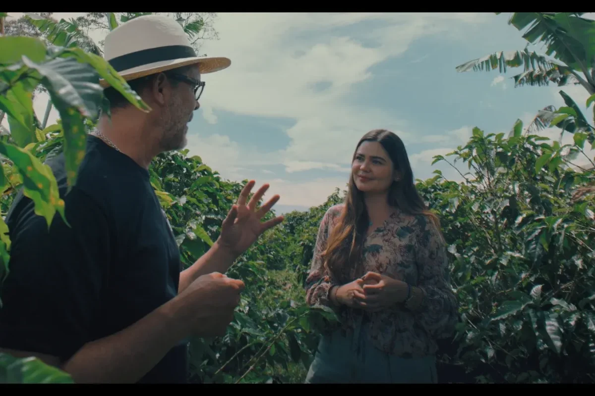 Llevar el agro a un lugar único — imagen 3